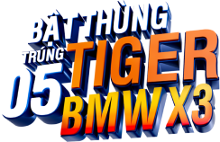 Bật thùng Tiger trúng 05 BMW X3